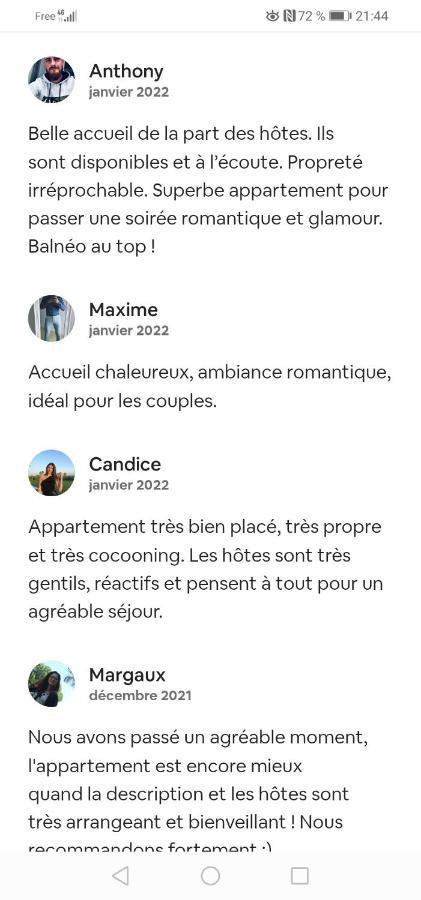 Romantisme Et Glamour 2 Avec Spa , Clim Et Jardin Дижон Экстерьер фото