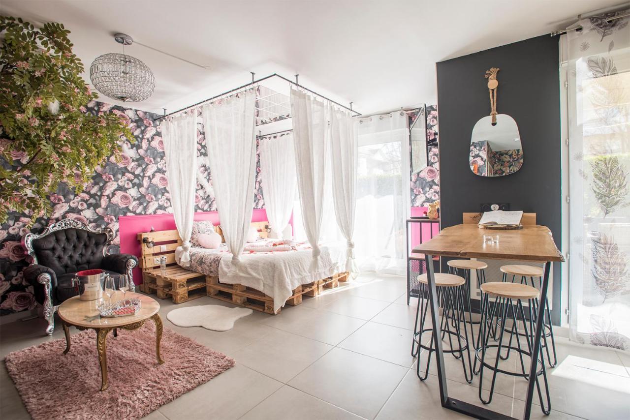 Romantisme Et Glamour 2 Avec Spa , Clim Et Jardin Дижон Экстерьер фото