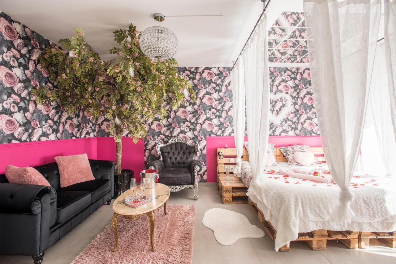 Romantisme Et Glamour 2 Avec Spa , Clim Et Jardin Дижон Экстерьер фото
